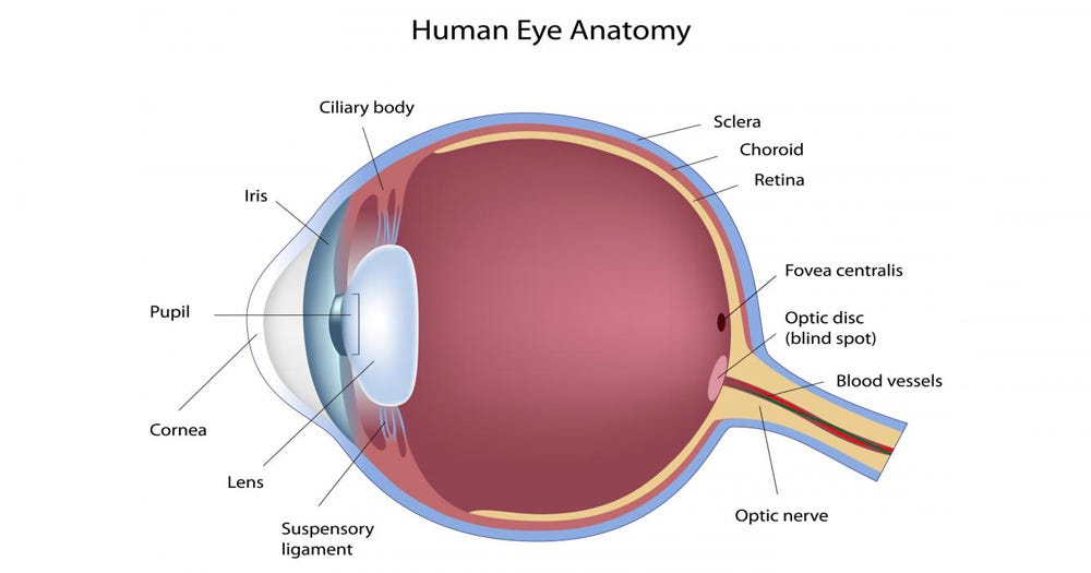 Contact Lens Prescription On Iris